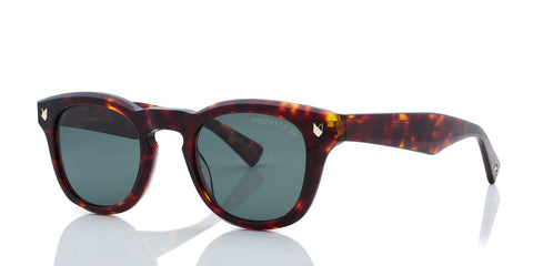 havana-polarized_main