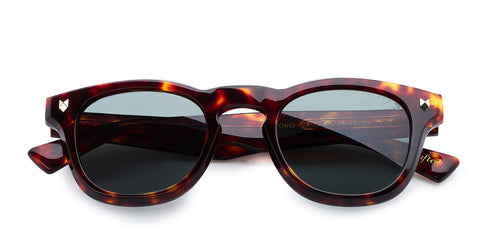 havana-polarized