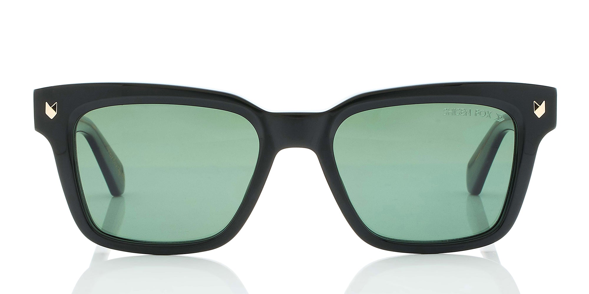 black-havana-polarized-54