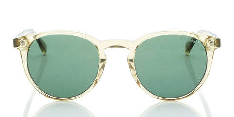 olive-polarized