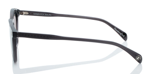 grey-polarized