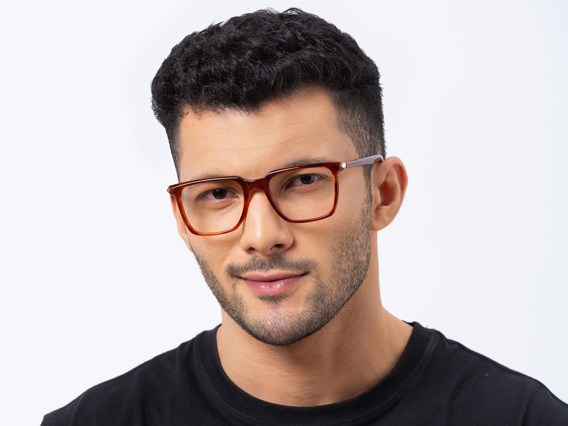 havana_model