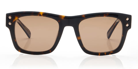dark-havana-polarized