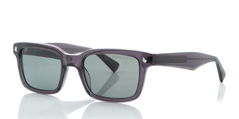 grey-polarized_main