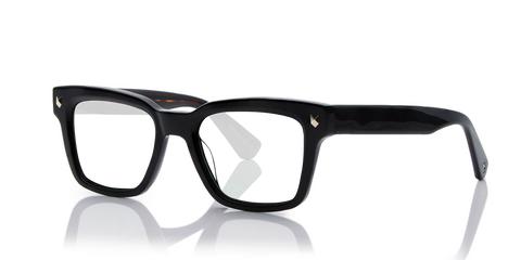 black-havana-polarized_main-okinava