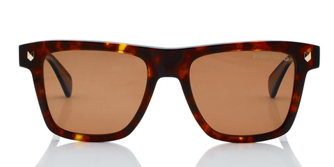 havana-polarized