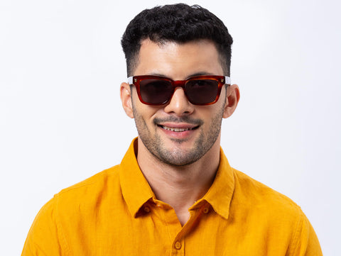 havana_model